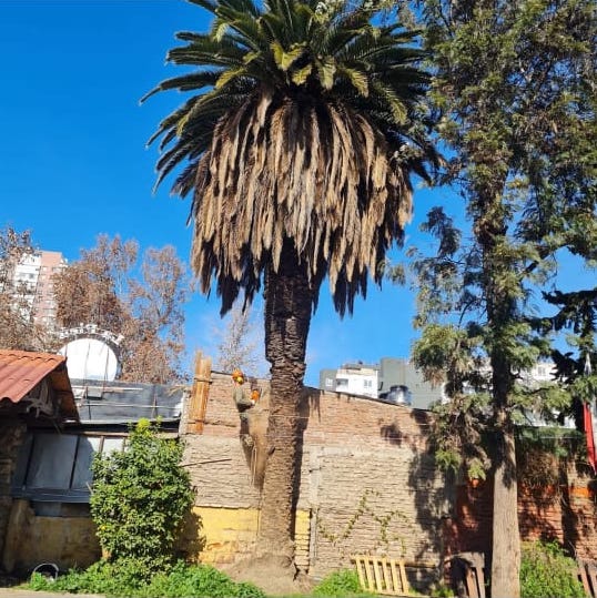 WhatsApp Image 2025-08-25 at 18.04.46 (4)