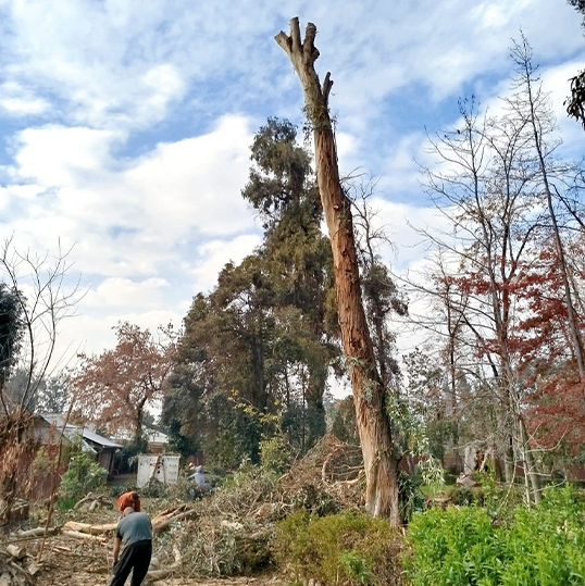 WhatsApp Image 2025-08-25 at 18.04.46 (4)111