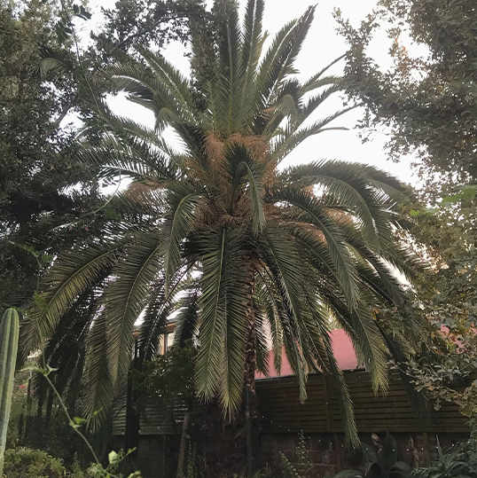 WhatsApp Image 2025-08-25 at 18.04.46 (4)333