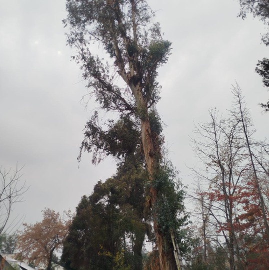 WhatsApp Image 2025-08-25 at 18.04.46 (4)444