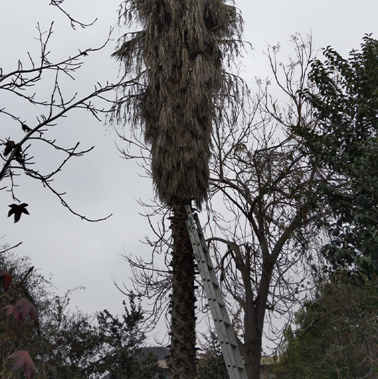 WhatsApp Image 2025-08-25 at 18.04.46 (4)888