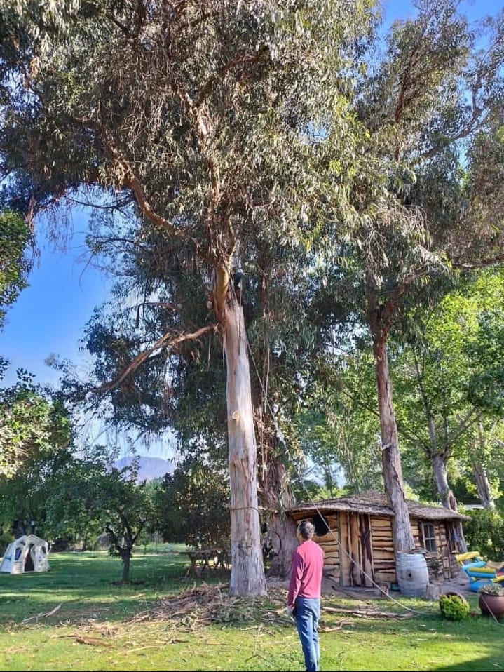 WhatsApp Image 2025-08-25 at 18.04.47